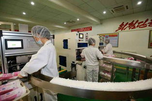 樂浪工廠展新顏 質量優(yōu)良的個人衛(wèi)生用品獲贊譽